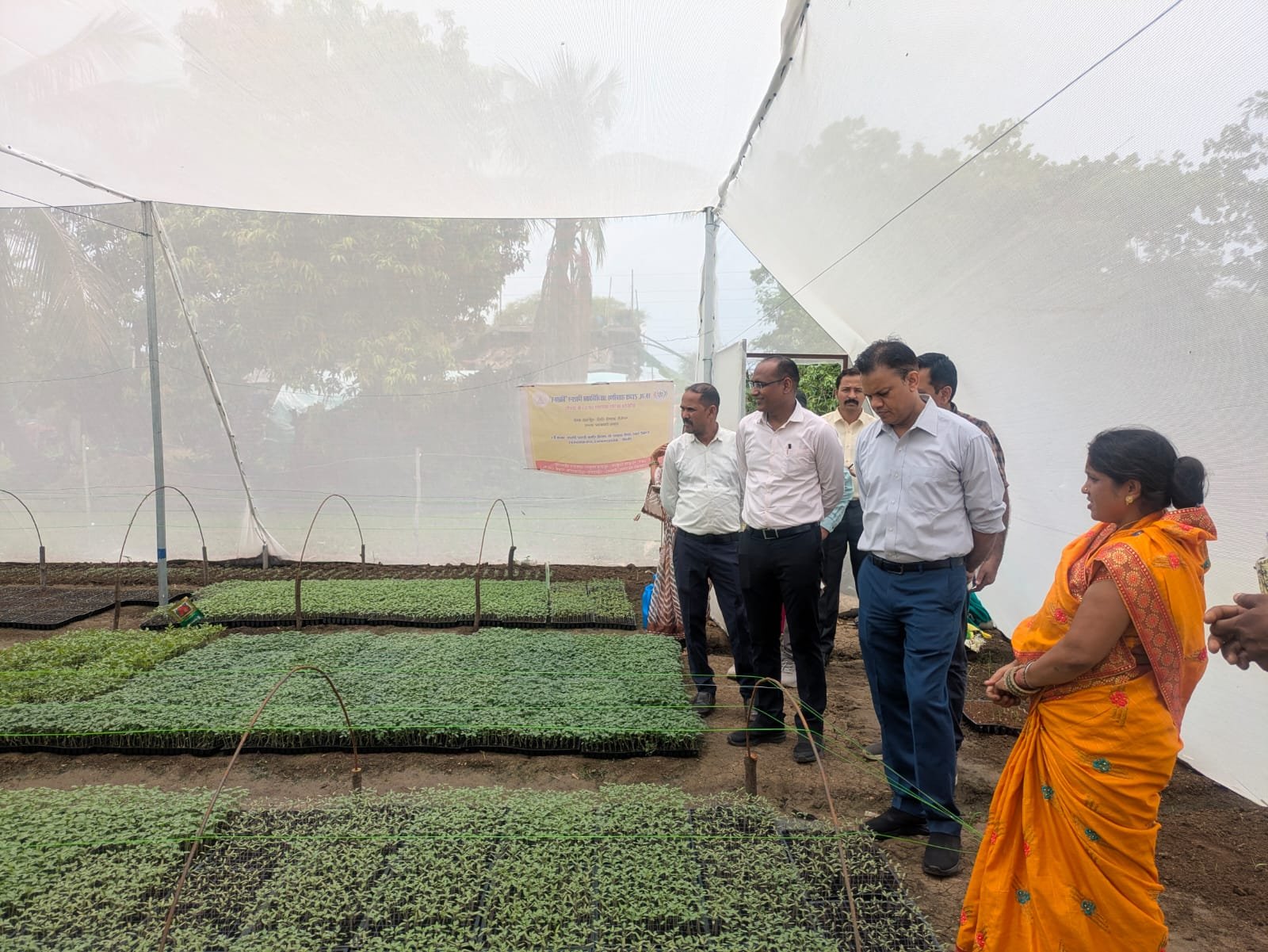 आईएफसी परियोजना से मिली नई पहचान: नर्सरी एवं मसाला उद्यम से आत्मनिर्भर बनीं सुनीता वर्मा