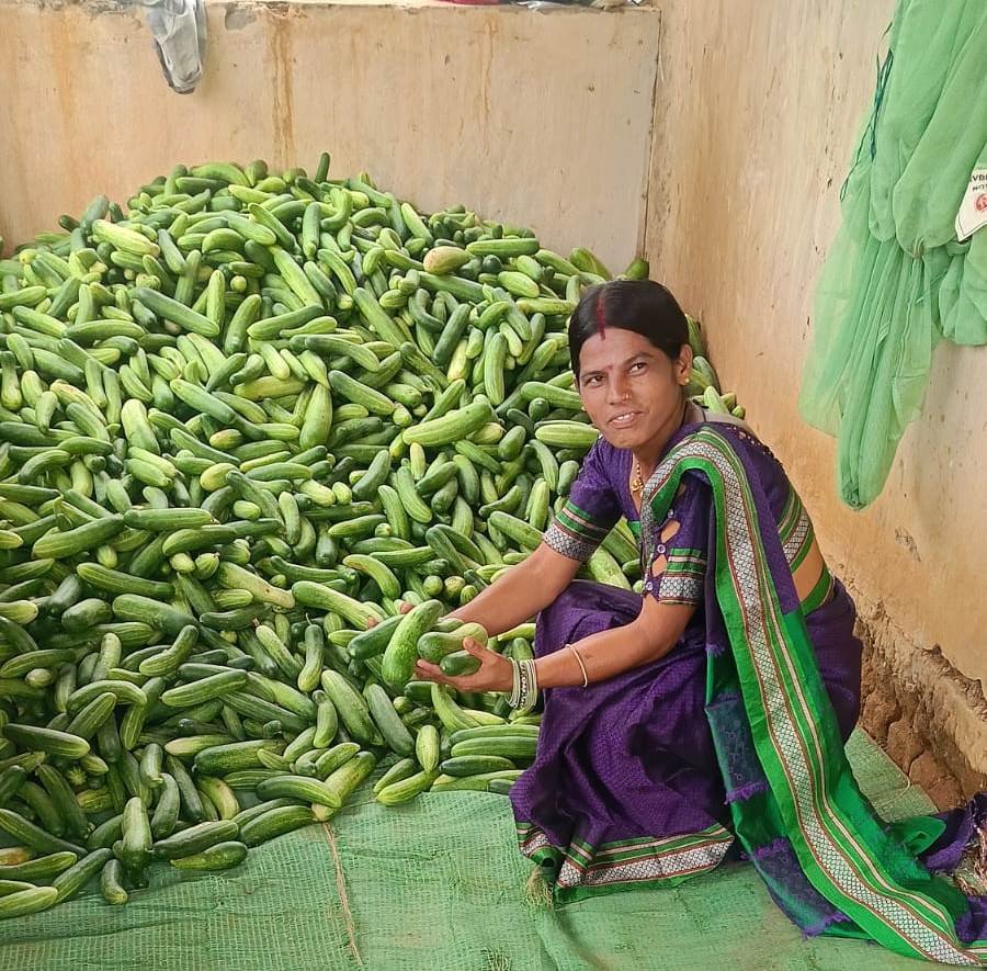 शशिरेखा सेठिया बनी लखपति दीदी, बिहान योजना के संबल से बदली आत्मनिर्भरता की तस्वीर
