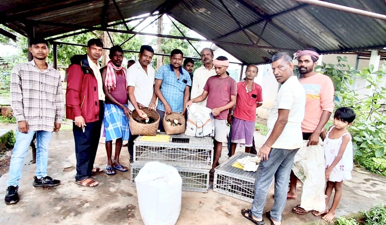 तोंगपाल क्षेत्र के 50 ग्रामीण परिवारों को मिला स्वरोजगार का सहारा