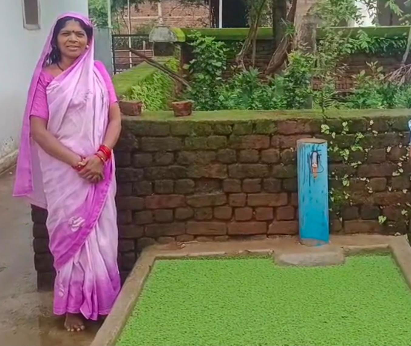 अजोला से संवरी आजीविका, धमतरी की बिहान दीदियों ने प्राकृतिक खेती और आत्मनिर्भरता का रचा नया इतिहास