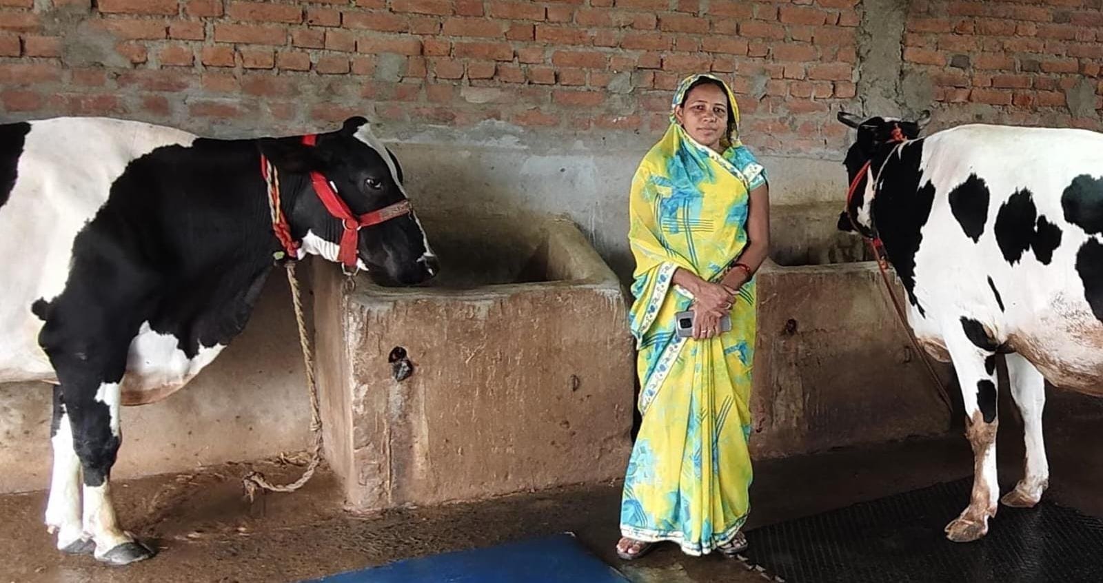 कृत्रिम गर्भाधान से बदली किस्मत, कंचनपुर की प्रेम कुमारी बनीं सफल डेयरी उद्यमी