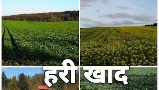 हरी खाद, वर्मी कम्पोस्ट और जैविक खाद के उपयोग के लिए किसानों को किया जा रहा प्रोत्साहित