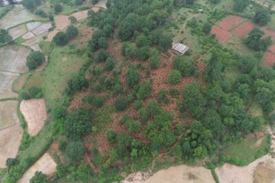 वर्षा जल संरक्षण की अनूठी पहल रू मोर गांव, मोर पानी अभियान से घोघर बना प्रेरणादायी मॉडल घोघर में बने 3000 वाटर एब्जॉर्प्शन टैंक, भूजल संवर्धन और टिकाऊ कृषि को मिलेगा नया आधार