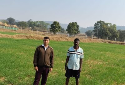 कम लागत, दोगुना फायदा: जशपुर के किसान ने गेहूं की खेती से बढ़ाई आमदनी  मुख्यमंत्री विष्णुदेव साय की पहल से कृषि विभाग के मार्गदर्शन का किसानों को मिल रहा लाभ  खरीफ के साथ रबी फसल अपनाकर किसान बन रहे आत्मनिर्भर, बढ़ रही आय