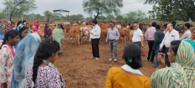वैज्ञानिक पशुपालन से आत्मनिर्भरता की राह  महासमुंद की महिलाओं ने धमतरी के गौधाम में सीखे आधुनिक डेयरी के गुर