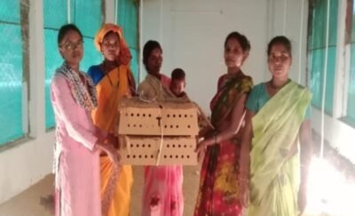 ​संघर्ष से सम्मान तक: बिहान और उन्नत मुर्गीपालन से बदली नारायणपुर की सुनीता की तकदीर  ​एक सशक्त पहल जिसने खोला आत्मनिर्भरता का द्वार