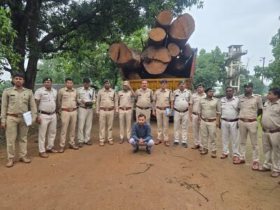 कोरबा वन मंडल की बड़ी कार्रवाई: 20 घनमीटर अवैध साल लकड़ी बरामद, मुख्य आरोपी गिरफ्तार