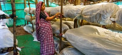 मुख्यमंत्री  विष्णुदेव साय के नेतृत्व में ग्रामीण महिलाओं की आत्मनिर्भरता को मिल रही नई उड़ान