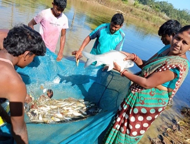 अनुदान से बदली तकदीर: मछलीपालन से आत्मनिर्भर बनीं मदनूबाई, सालाना 2 लाख रुपये से अधिक की आय
