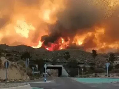 स्पेन के जंगल में लगी आग; 12 की मौत, भागने की कोशिश बनी मौत की वजह, सामने आया डरावना वीडियो