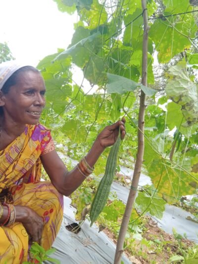 बस्तर के खेतों में बही समृद्धि की बयार   महिला किसान  रैबाली कश्यप ने रची सफलता की नई इबारत