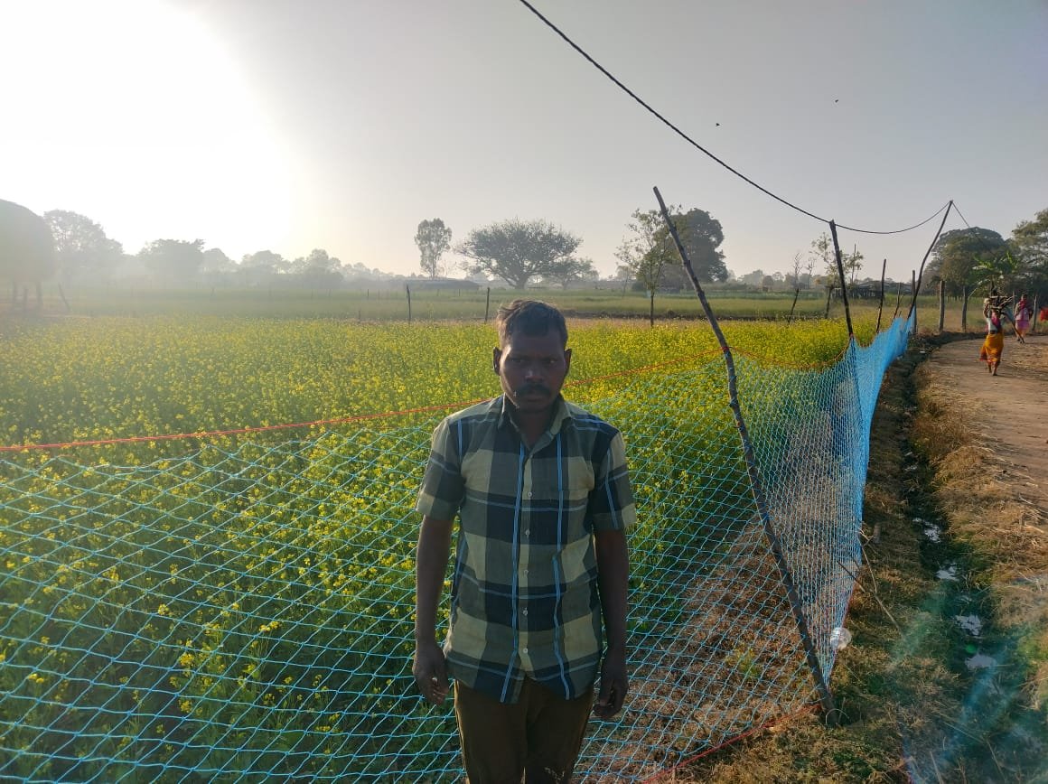 प्रधानमंत्री धन-धान्य कृषि योजना से किसान बलदेव राजवाड़े को मिला लाभ  0 सरसों की खेती से बढ़ी आय की उम्मीद, खाद्य तेल में आत्मनिर्भरता की ओर बढ़े कदम