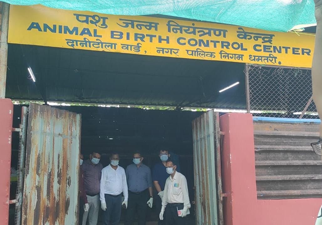 आवारा श्वानों की संख्या नियंत्रण के लिए धमतरी में प्रभावी पहल