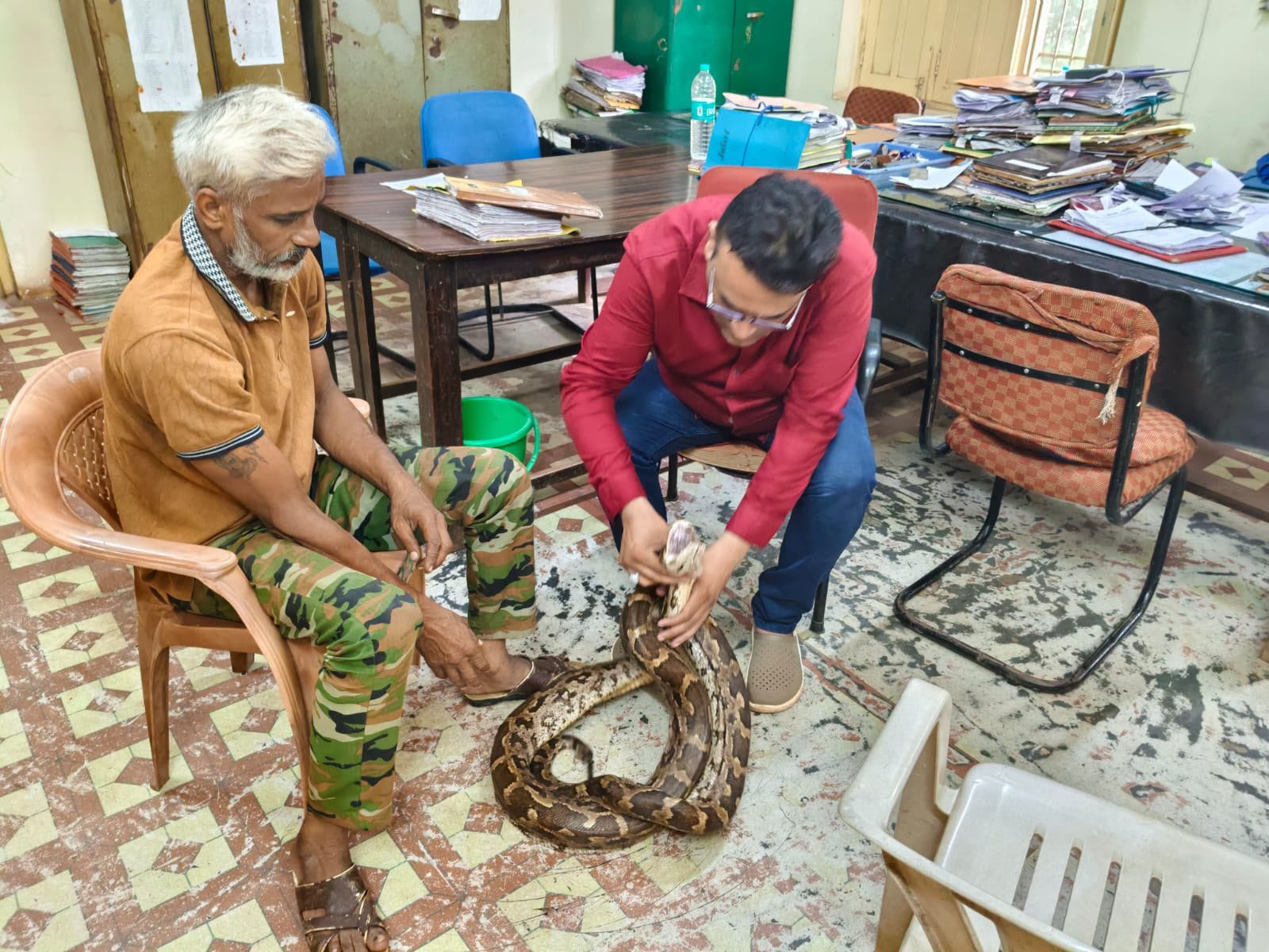 गंगरेल वन क्षेत्र में घायल भारतीय अजगर का रेस्क्यू, उपचार के बाद जंगल सफारी रायपुर भेजा गया