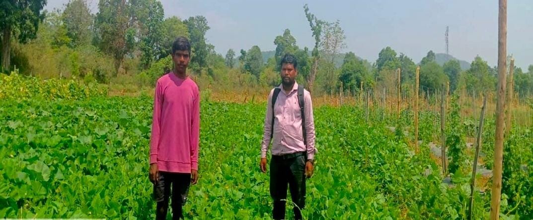 ड्रिप सिंचाई ने बदली हरीशचन्द्र की तकदीर