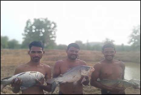 तालाब में पाली मछलियां, मुनाफे से संवारी जिंदगी—शंकर कुड़ियम बने आत्मनिर्भरता की मिसाल