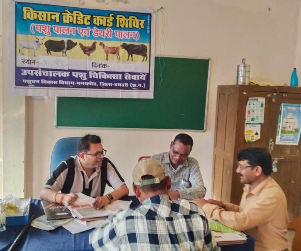 पशुपालन केसीसी से धमतरी के 93 पशुपालकों को मिली 98.62 लाख की वित्तीय संजीवनी