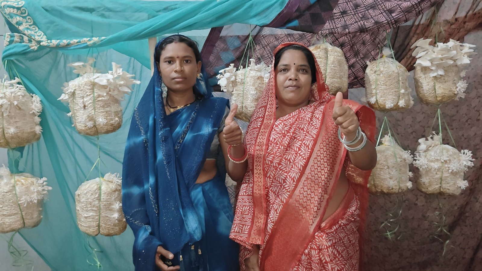 आयस्टर मशरूम उत्पादन से आत्मनिर्भर बन रही टिकेश्वरी साहू, बिहान योजना ने बनाया आर्थिक रूप से सशक्त