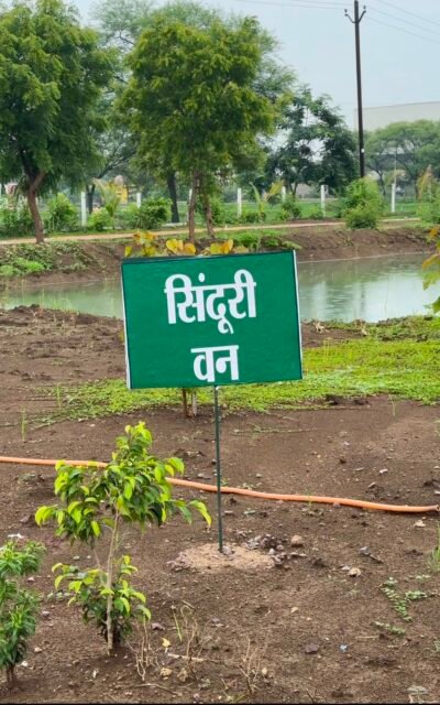 भखारा के शासकीय आईटीआई परिसर में आकार ले रहा ‘ऑपरेशन सिंदूर उद्यान’ हरियाली से बढ़ी परिसर की खूबसूरती, औषधीय एवं फलदार पौधों से पर्यावरण संरक्षण को मिल रहा बढ़ावा