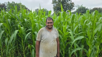 राष्ट्रीय खाद्य सुरक्षा एवं पोषण मिशन से किसानों को मिल रहा संबल उन्नत मक्का बीज और कृषि आदानों से शुभम दुबे की फसल उत्पादन एवं आय में होगी वृद्धि