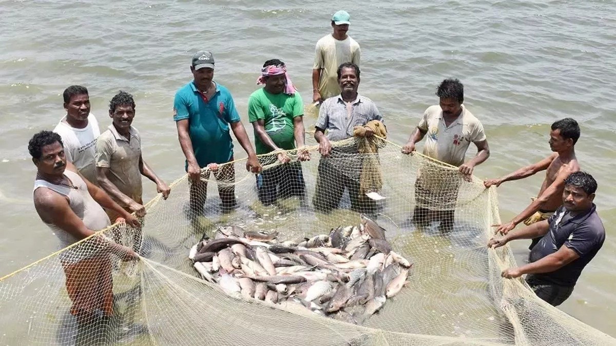बदलाव की मिसाल बदली किसानों की किस्मत प्रधानमंत्री मत्स्य संपदा योजना से