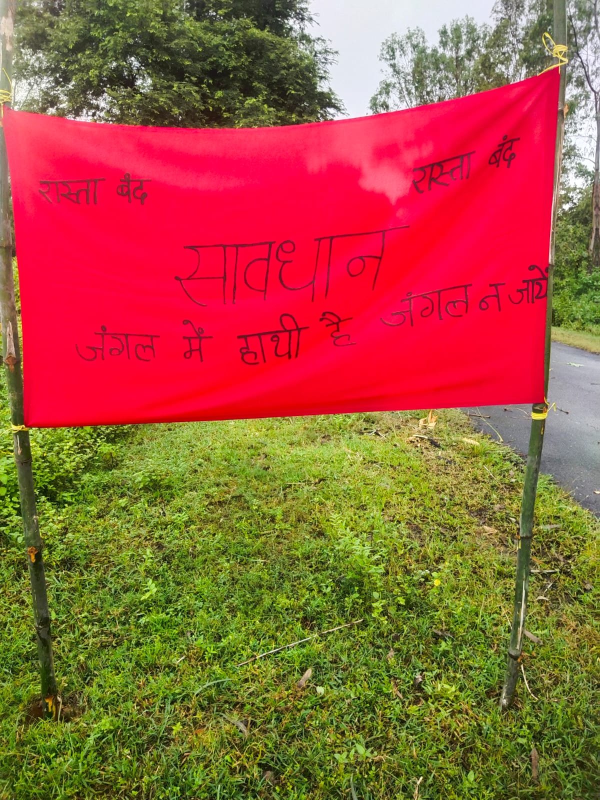 खड़ामाचा जंगल में 30 हाथियों का दल, वन विभाग ने ग्रामीणों को किया सतर्क