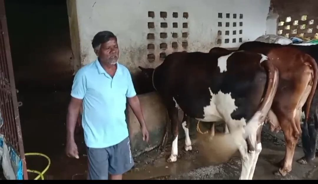 एक गाय से शुरू हुआ सफर, आज 10 पशुओं का समृद्ध पशुधन