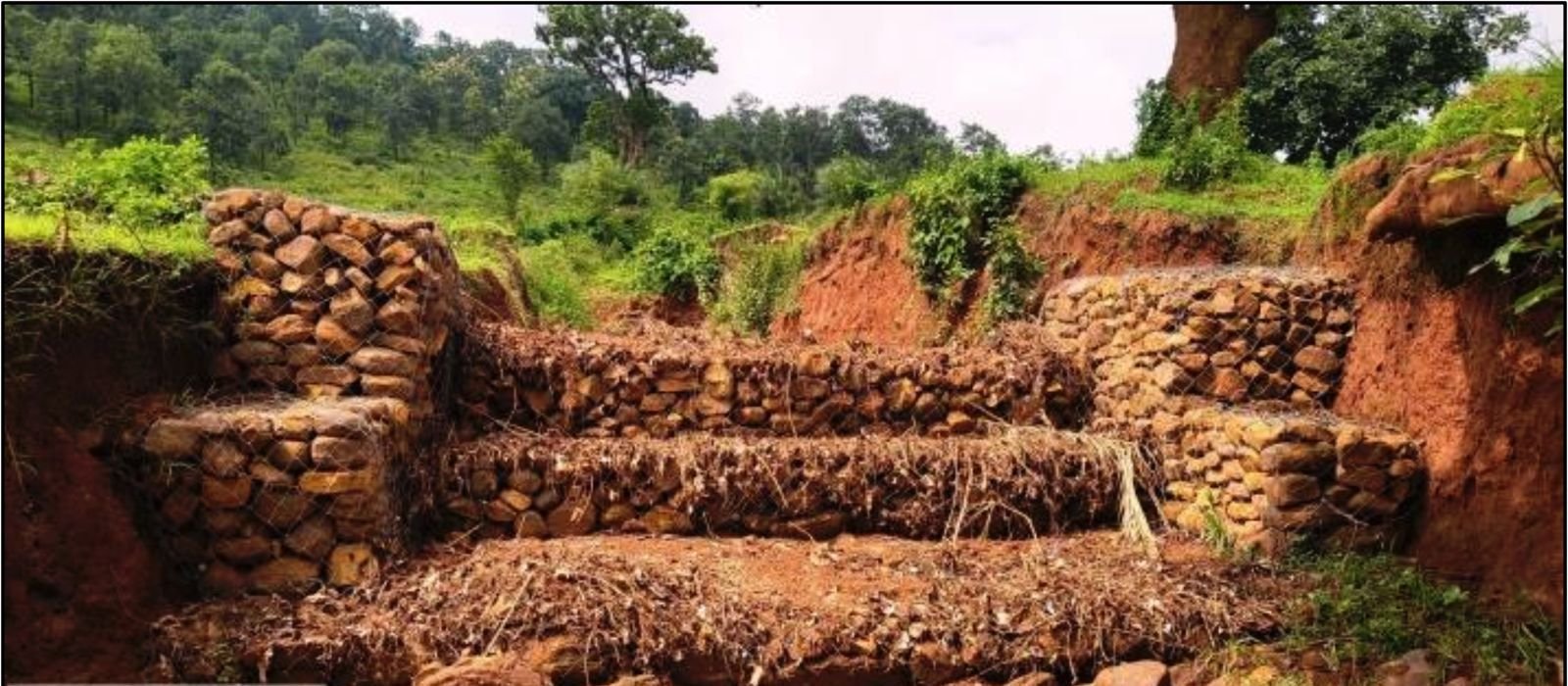 बस्तर में जल एवं मृदा संरक्षण की मिसाल बनी कुरमंडी नाले पर निर्मित गेबियन संरचना