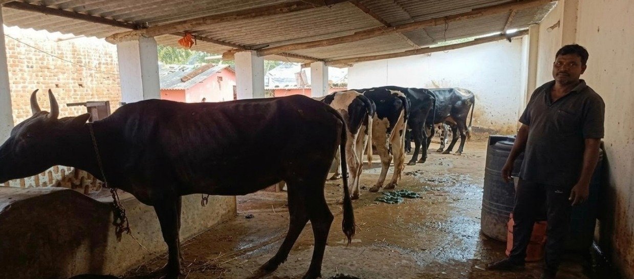 महेश नाग का कच्चे शेड से शुरू हुआ सफर अब पक्के मकान और सफल डेयरी व्यवसाय तक पहुंचा